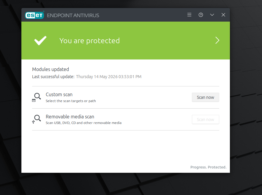 eset windows